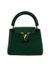Capucine BB Correa, vista frontal